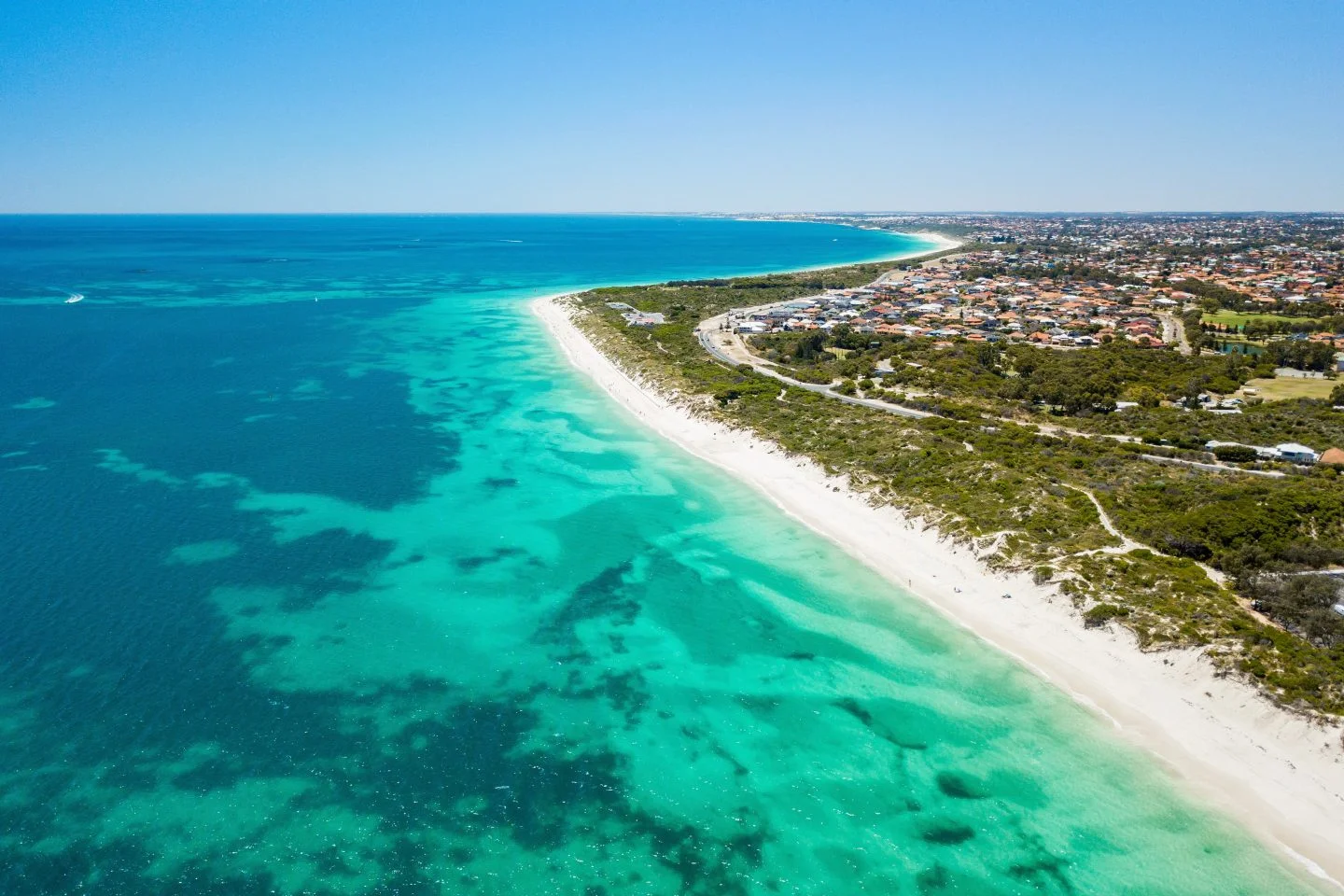 The Alice - Coming Soon